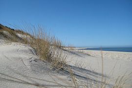 Ein Sommertraum in Blau und Beige von Theodor Decker