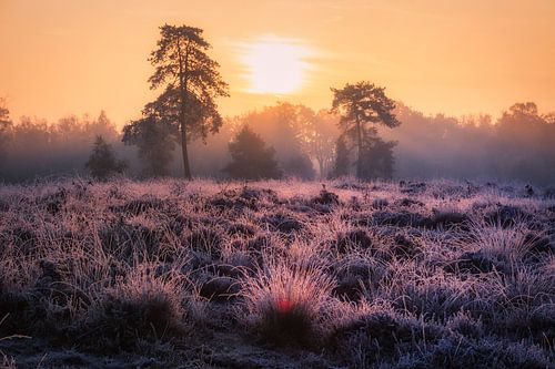 Wach auf, wenn die Sonne aufgeht ...