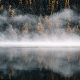 Foggy lake by Ashwin wullems