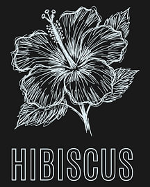 minimalist Hibiscus flower line art poster - black edition by moveit store