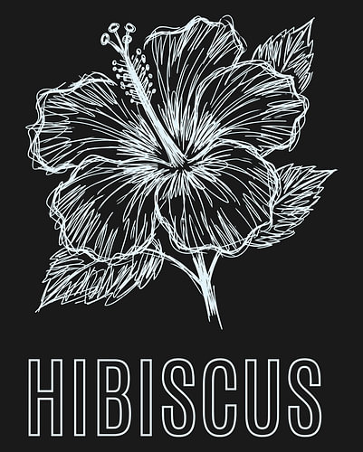 Minimalistische poster met een lijntekening van een hibiscusbloem – zwarte editie