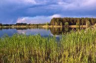 Glowing evening light at the quarry pond by Silva Wischeropp thumbnail