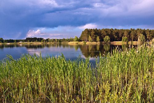 Gloeiend avondlicht bij de steengroevevijver