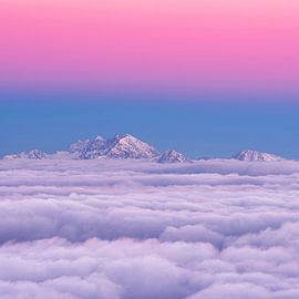 Rosa am Himmel von Ales Krivec