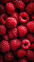 Frische Himbeeren von oben