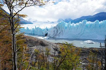 Perito Moreno gletsjer in Patagonië van Gijs Kornmann