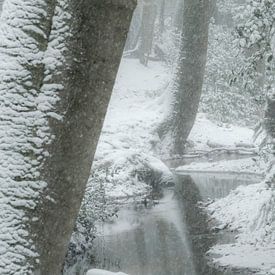 Winter in Twente by Rene Wolf