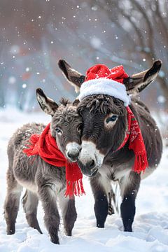Hugging donkeys... by Ans Bastiaanssen