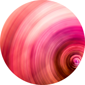 Concentrische cirkels