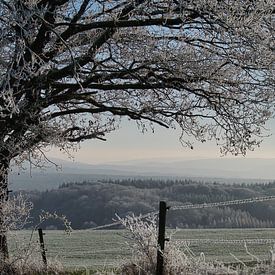 paysage hivernal sur Pascal Mairesse