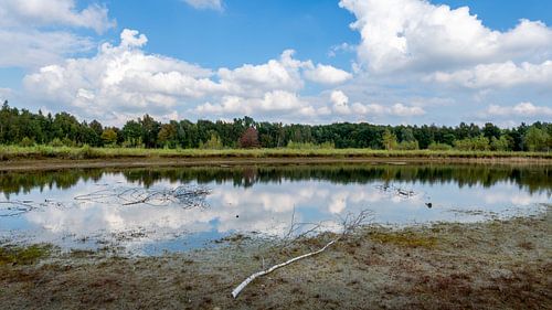 Plas Heemtuin Muntendam