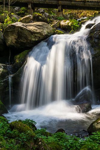 Zonlicht dat op het water van een mooie tropische waterval schijnt