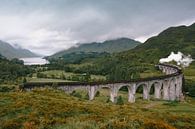 Glenfinnan viaduct in Schotland van Tim Vlielander thumbnail