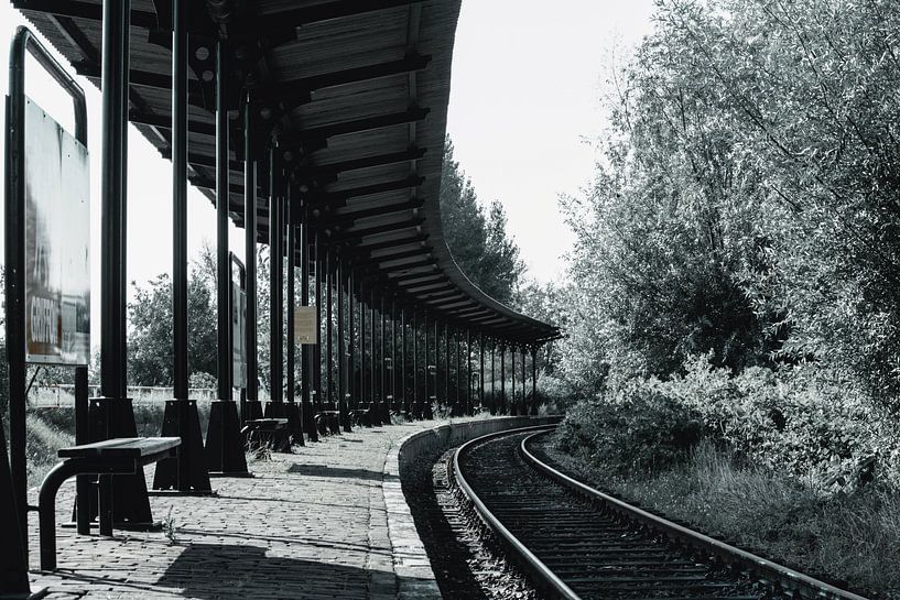 Gare abandonnée de Hoedekenskerke par Eugenlens