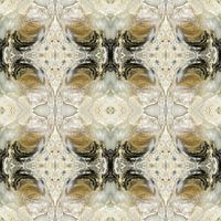 Symmetrie van de Zee: Een Schelp in Detail