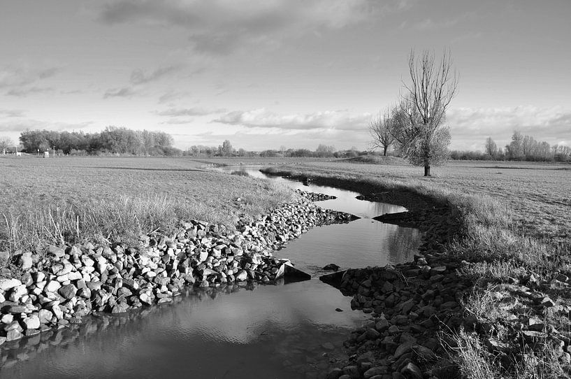 Visafslag eiland van Maurik in zwart wit. van Jose Lok