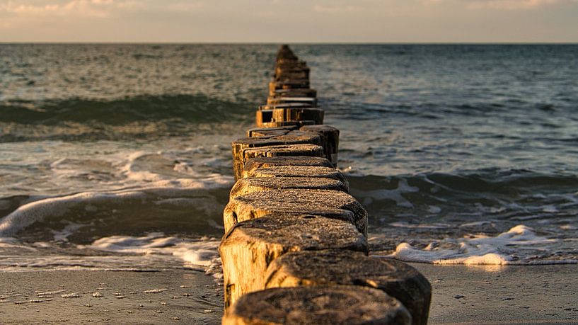 Kribben die in zee steken. Genomen in Zingst, aan de Darß. Het perspectief is gericht op de horizon. van Martin Köbsch