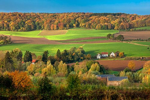 Panorama of half-timbered houses and autumn colours