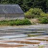 Extraction de sel Marais Salants de Kervillen sur Jolanda van Eek en Ron de Jong
