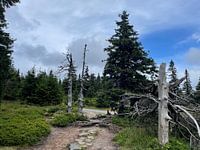 Montagnes tchèques