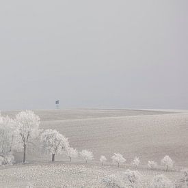 Winters heuvellandschap in Oostenrijk van Mariska Haaima