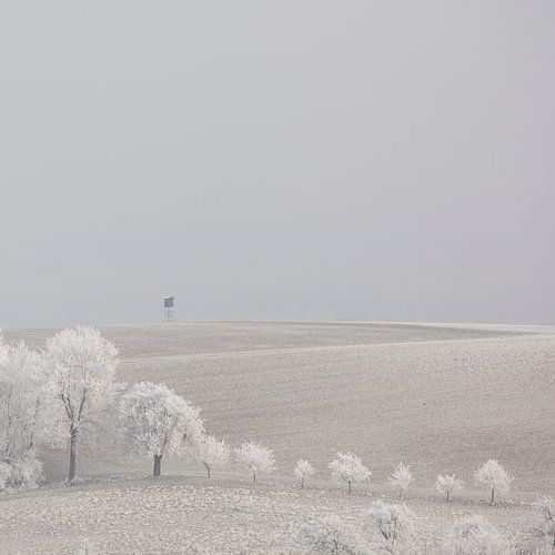 Winter landscape with frosted trees