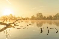 Landschap, opkomende zon tijdens mistige ochtend met boom in het water von Marcel Kerdijk Miniaturansicht