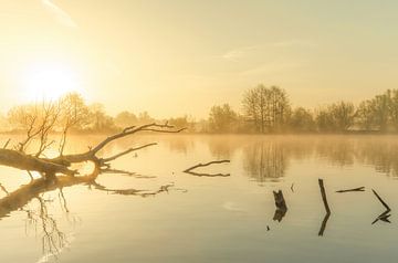 Landschap, opkomende zon tijdens mistige ochtend met boom in het water van Marcel Kerdijk