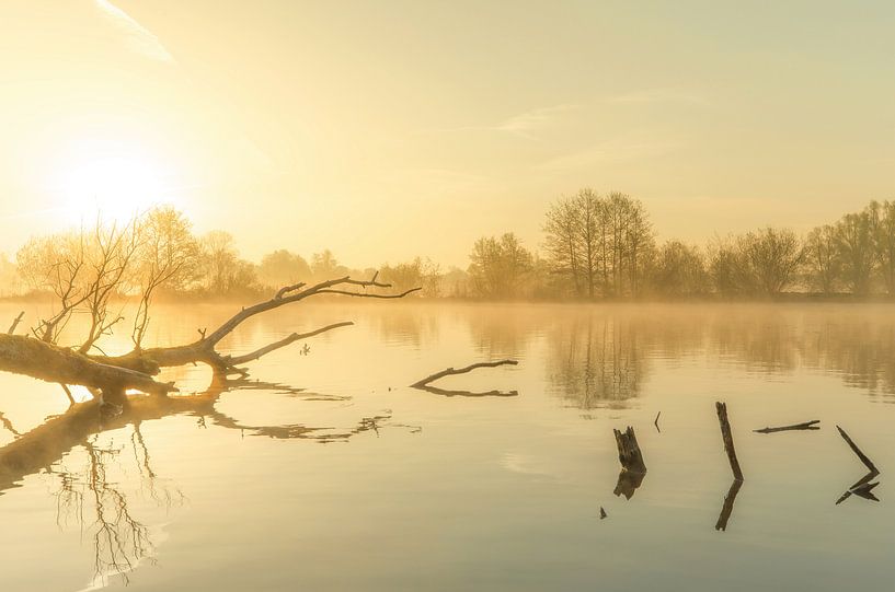 Landschap, opkomende zon tijdens mistige ochtend met boom in het water par Marcel Kerdijk