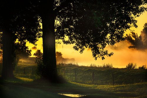 zonsopkomst mistige ochtend