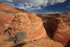 Rotsformaties in de North Coyote Buttes, deel van het Vermilion Cliffs National Monument. Dit gebied