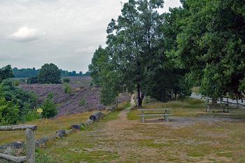 Waar de weg naar toe leidt