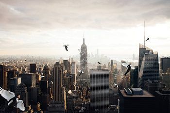 A city full of angel