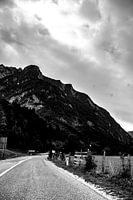A lonely road.