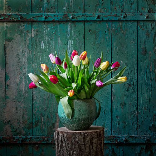 Hollandse tulpen voor een oude schuurdeur.