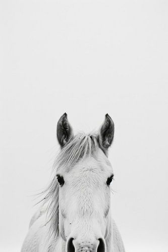 Paardenportret