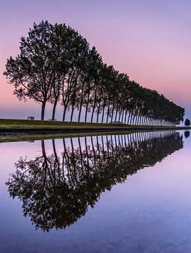 Een zomeravond aan het kanaal. van Jolanda Bosselaar