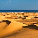 Duinen van Maspalomas bij zonsondergang, Gran Canaria, Canarische Eilanden, Spanje van Markus Lange thumbnail
