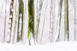 Verschneiter Buchenwald von Danny Slijfer Natuurfotografie