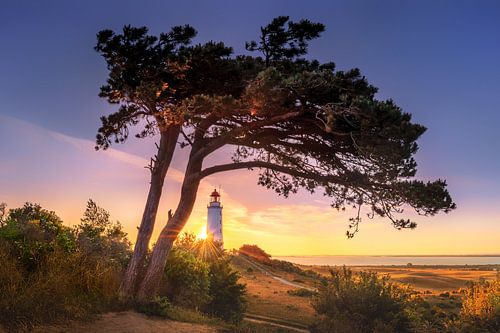 Zonsopgang bij de vuurtoren van Dornbusch op het eiland Hiddensee