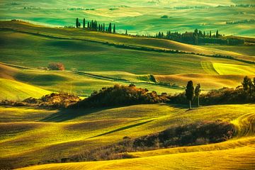 Glooiende heuvels bij zonsondergang in Val d'Orcia. Toscane van Stefano Orazzini