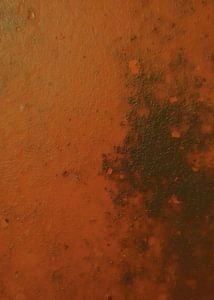 TW living -Studio loft - rust 2