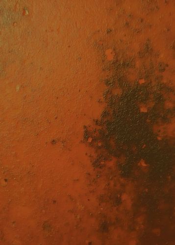 TW living -Studio loft - rust 2