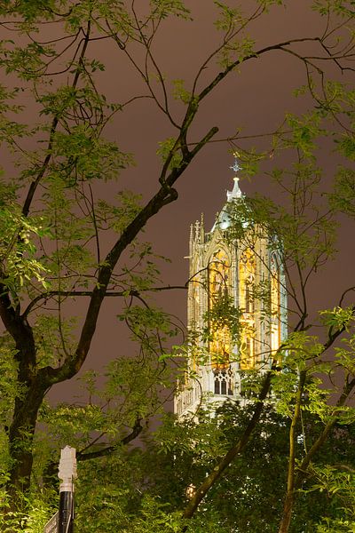 Tour Dom d'Utrecht par Martien Janssen