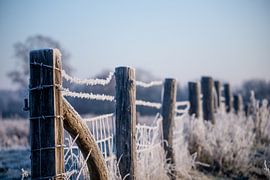Umzäunung nach Frost von Jesper Oosterlaak