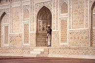 Indien, Agra, Baby Taj Mahal von Reisverslaafd Miniaturansicht