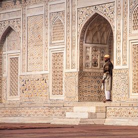 India, Agra, Baby Taj Mahal van Reisverslaafd