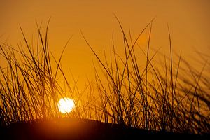 Sonnenaufgang hinter den Dünen