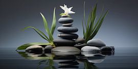 Relaxation