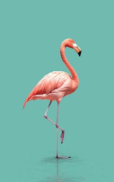 Pink Flamingo van Color Square